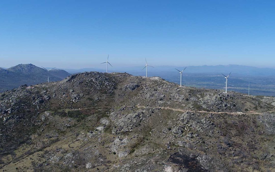 Feníe Energía