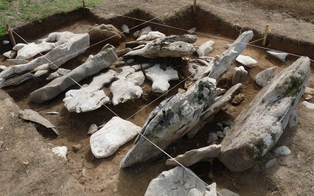 Grupo de Investigación en Prehistoria de la UPV-EHU