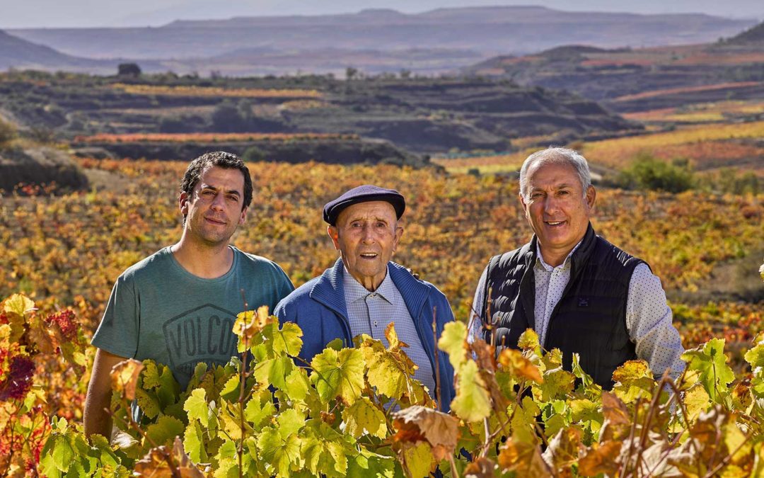 Bodegas Luis Cañas