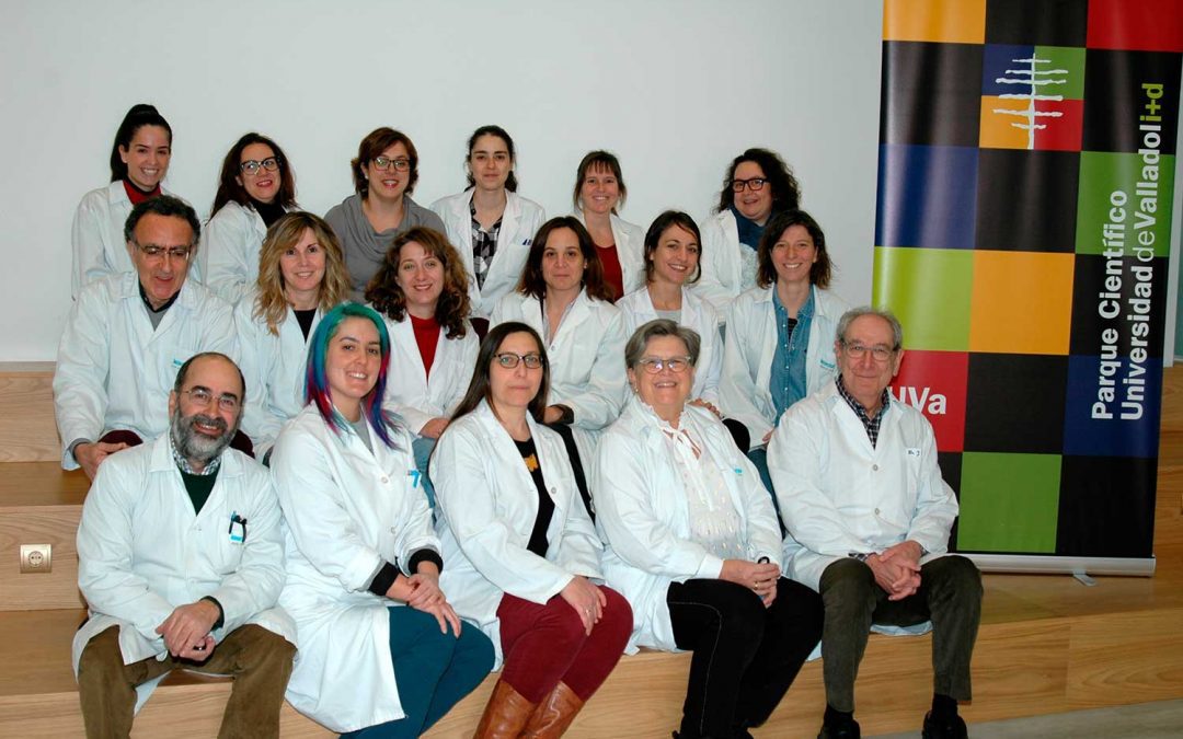 Grupo de Medicina Regenerativa y Terapia Celular de la UVA