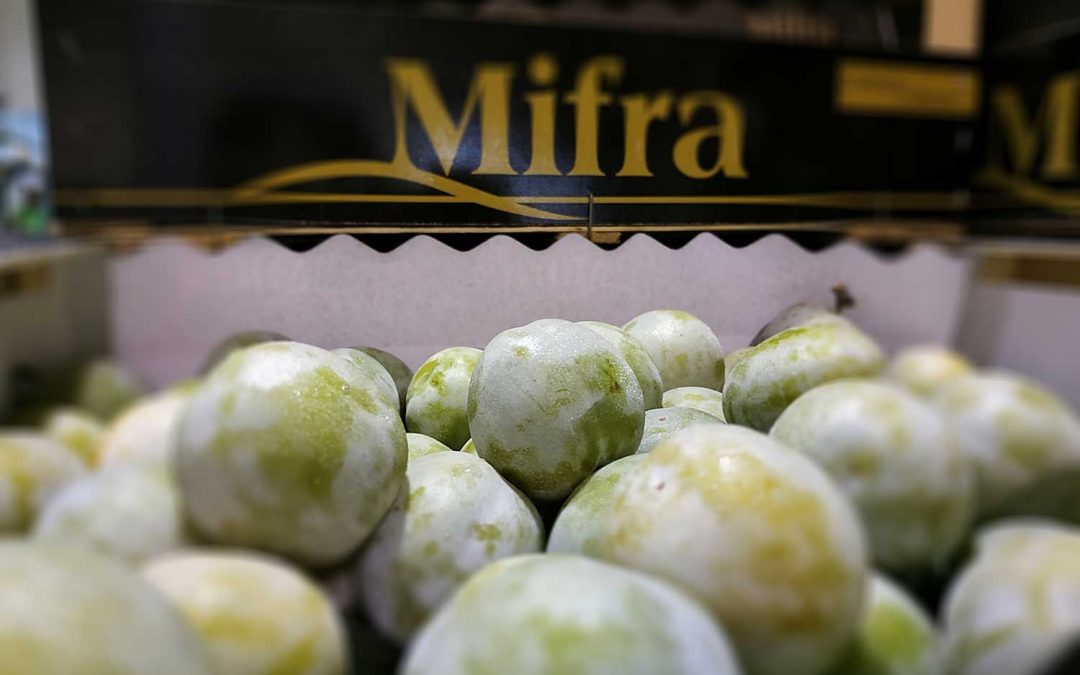 Frutas Mifra