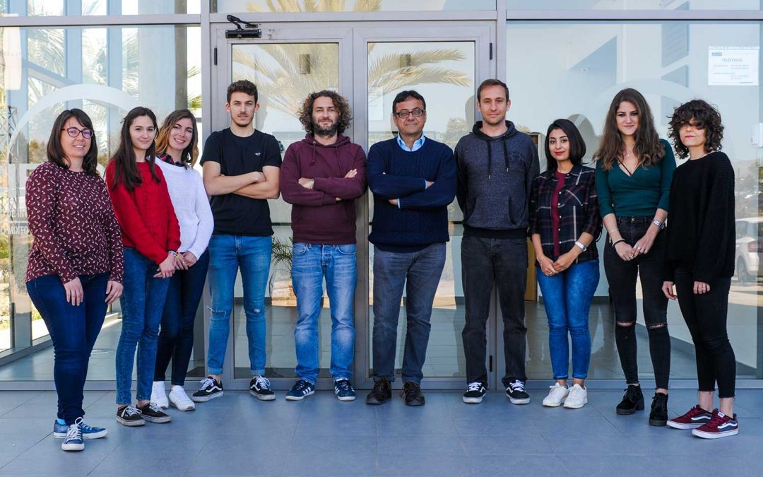 grupo Química de Coordinación, Organometálica y Fotoquímica
