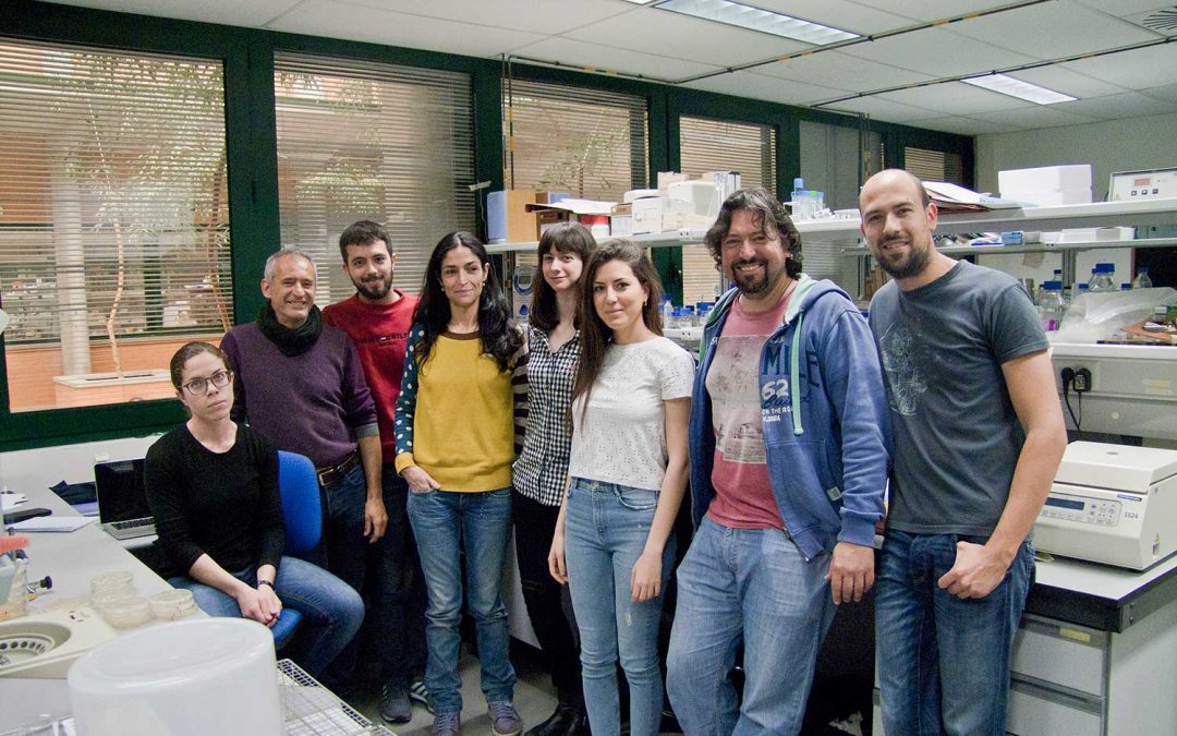 Genética Molecular de la Universidad Pablo de Olavide