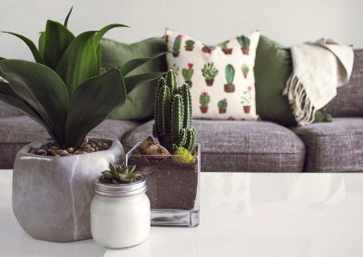 Construye, Rehabilita y Decora