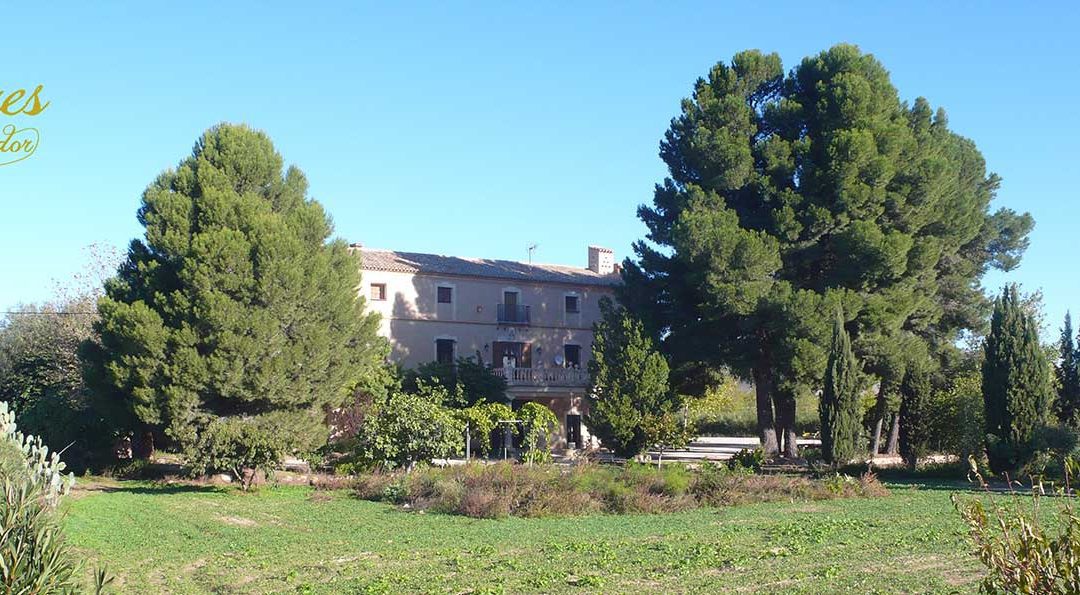 Olivares del Derramador
