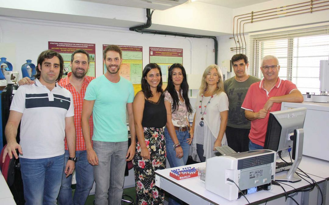 IRNAS-CSIC