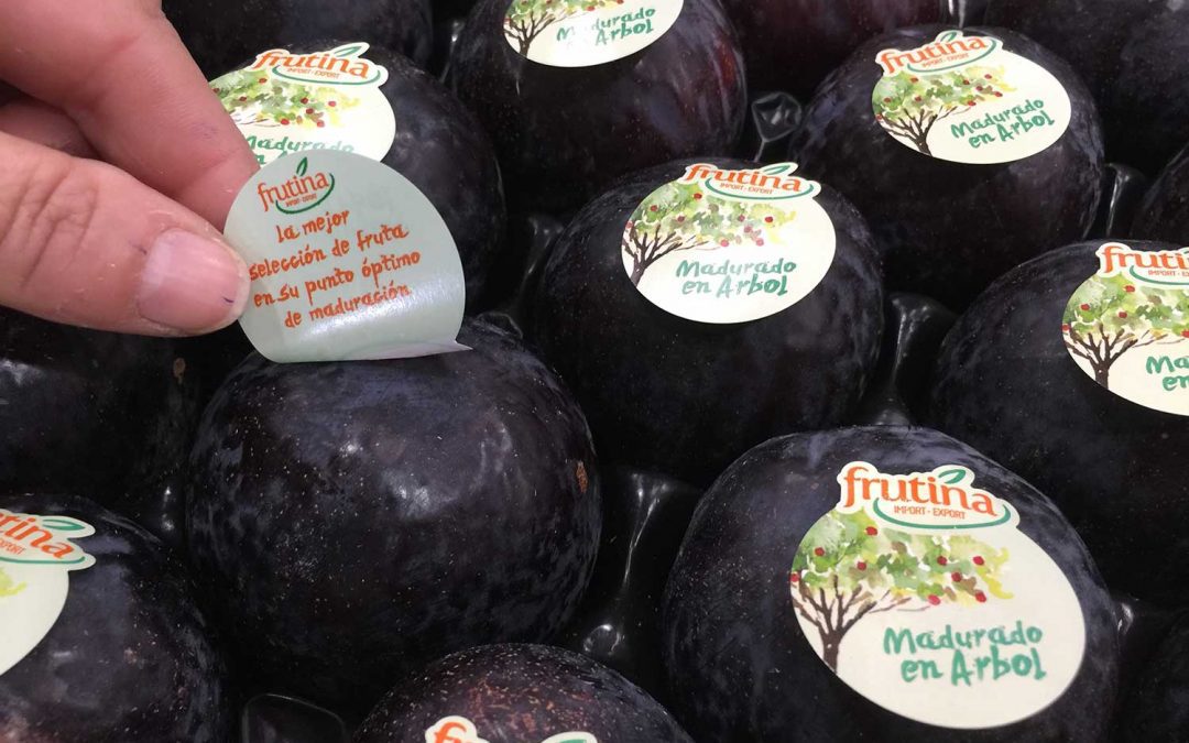 Frutina