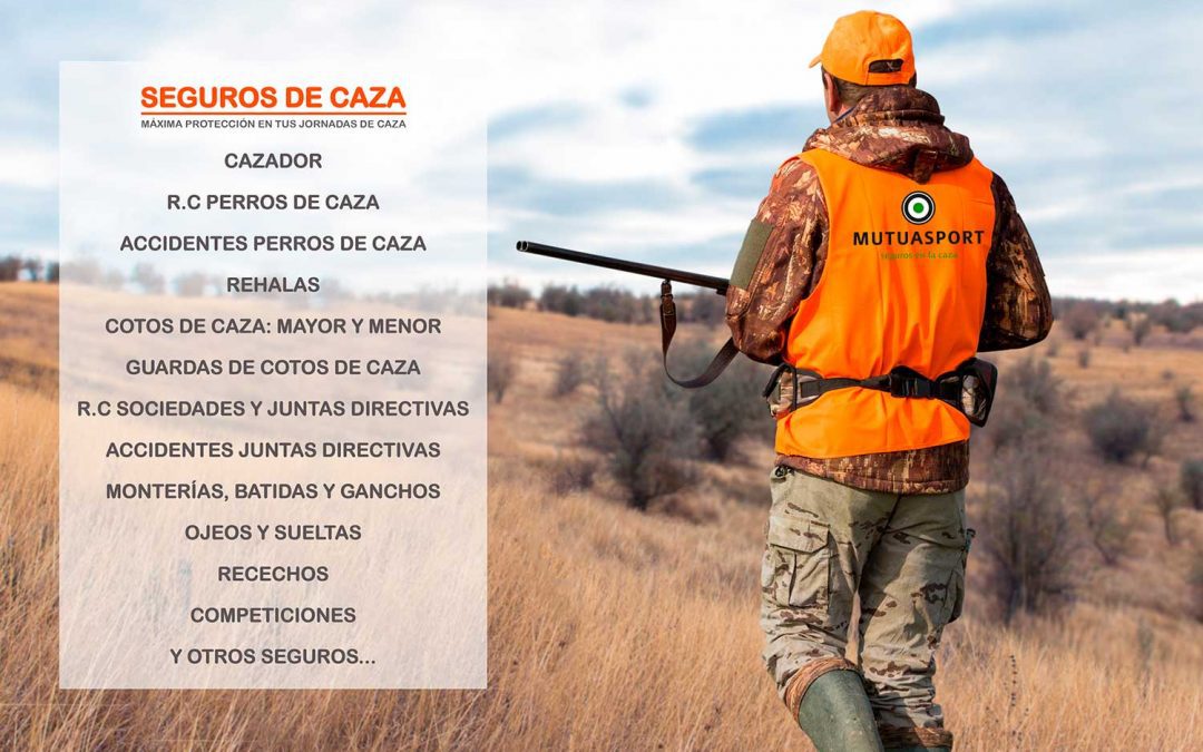 Mutuasport