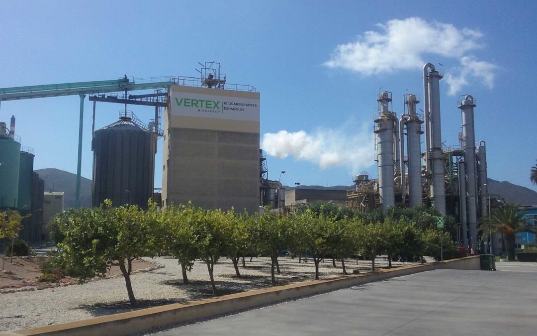 Vertex Bioenergy