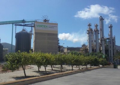 Vertex Bioenergy