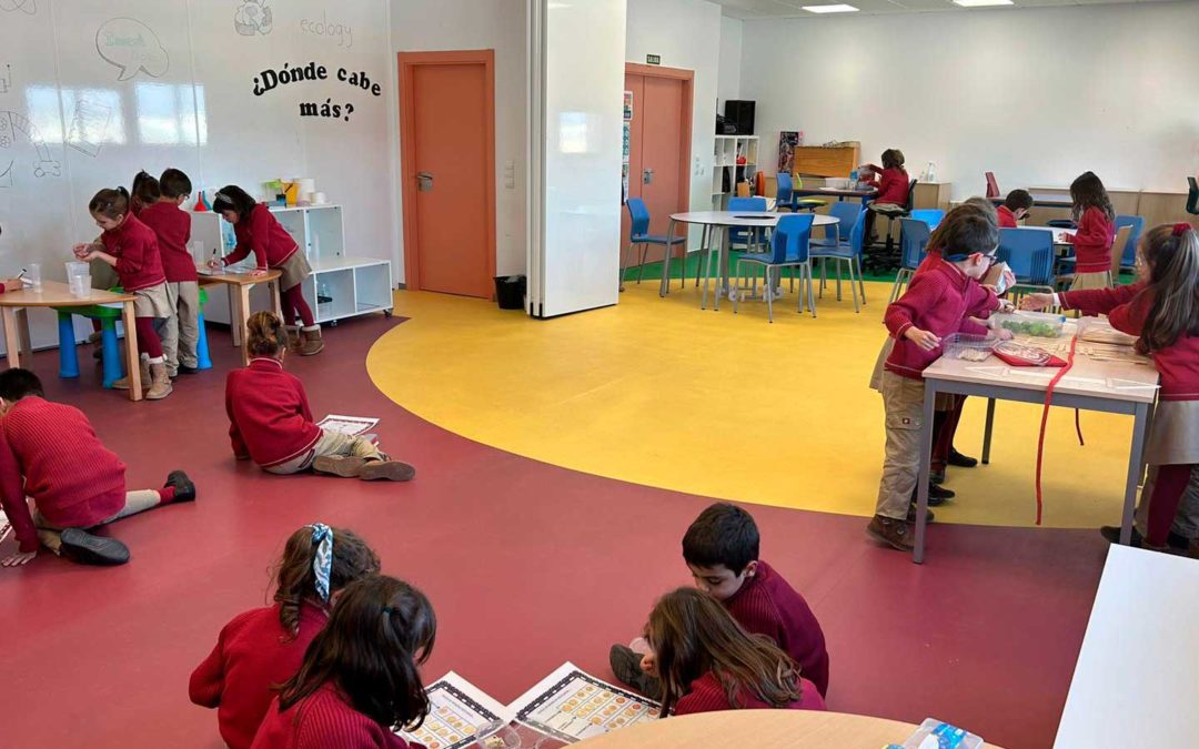 Colegio Valle del Miro