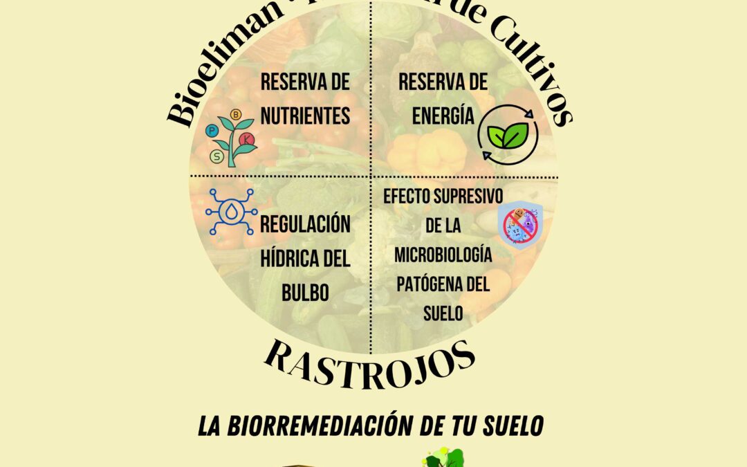 Biotechnology Biopolym