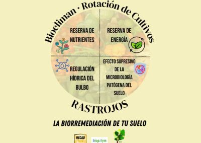 Biotechnology Biopolym