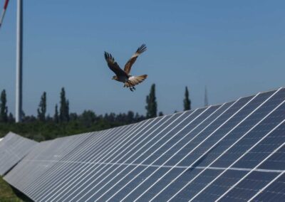 Goldbeck Solar