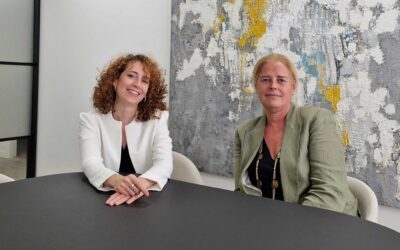 MOMEMTUM Arquitectura