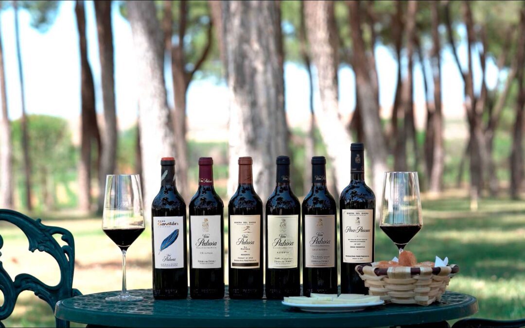 Bodegas Hnos. Pérez Pascuas