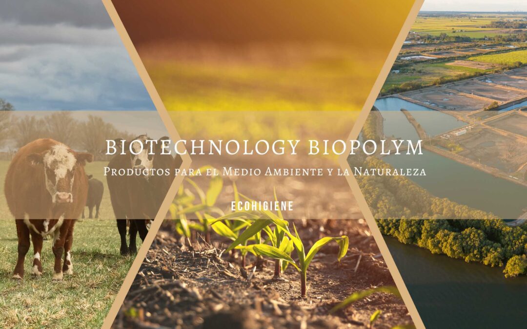 Biotechnology Biopolym