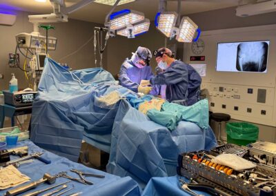 Hip Institute