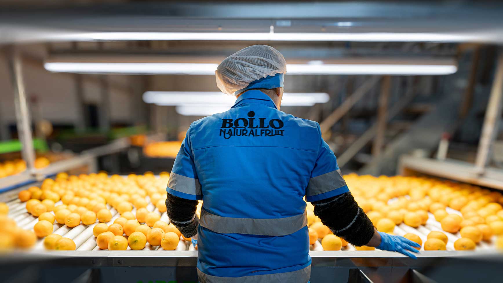 PROMEGA-ADN-FRESAS-12